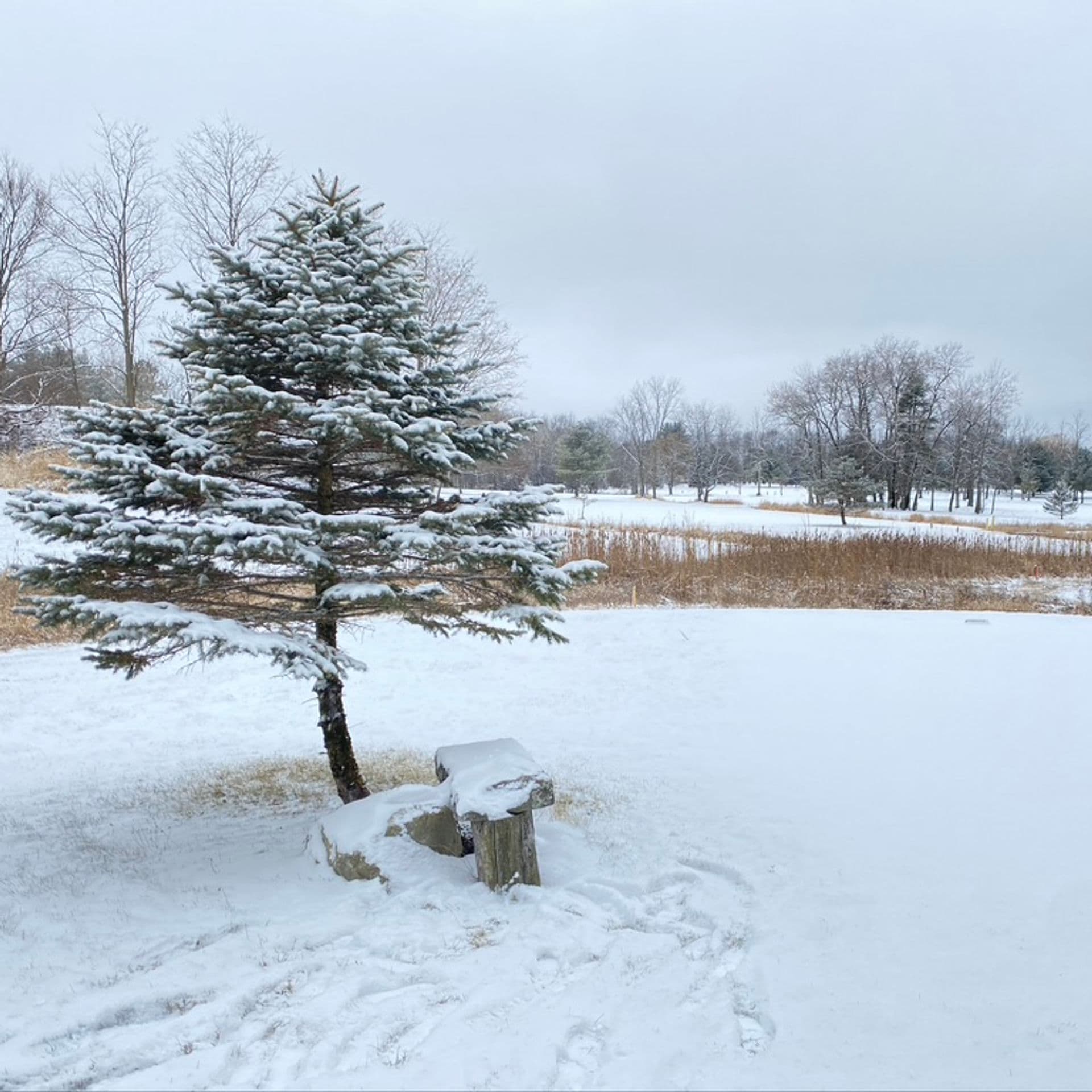 Island Green Resort combining golf, lodging, and dining in the Catskills